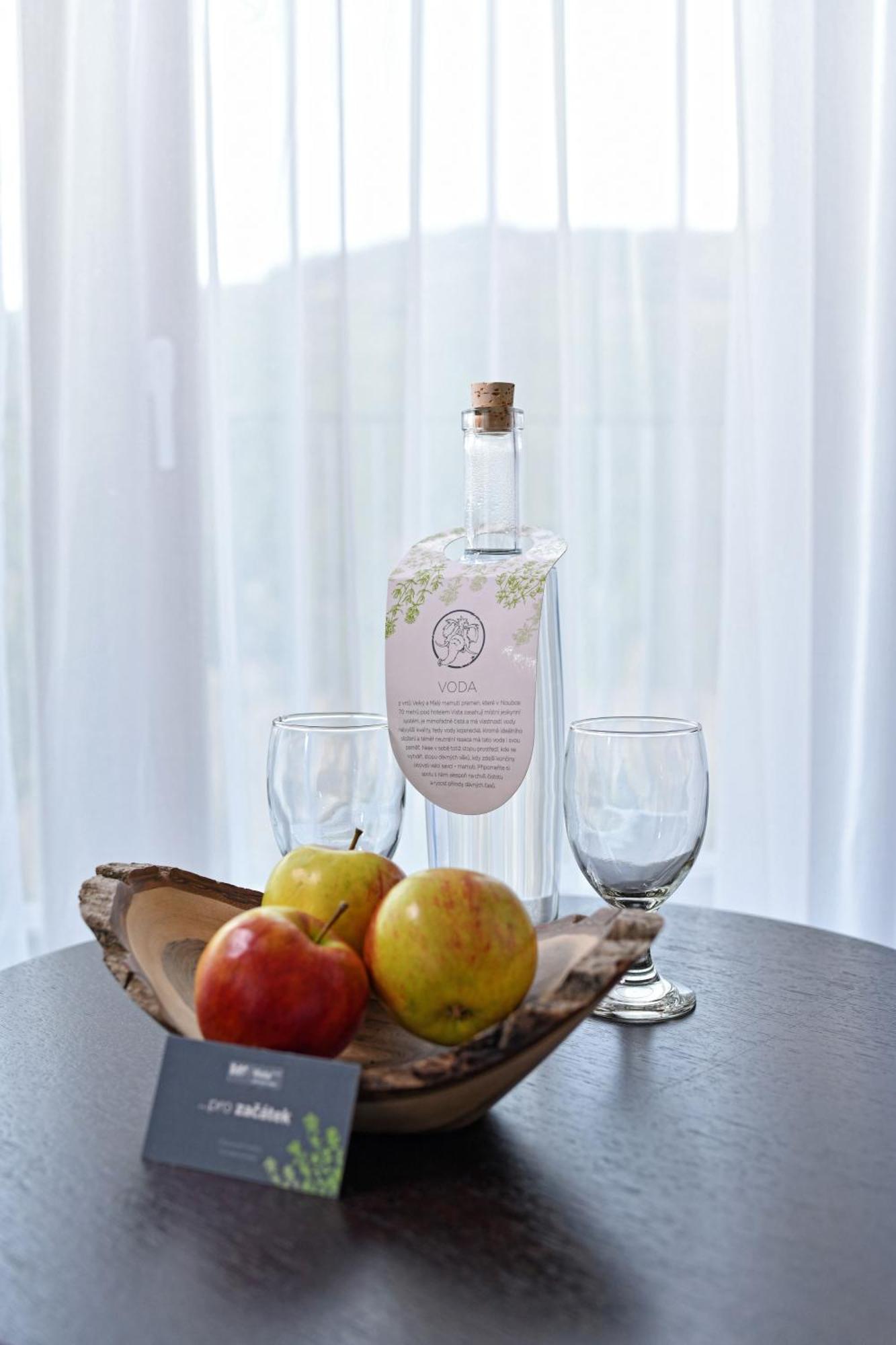 Wellness Hotel Vista Dolní Morava Esterno foto