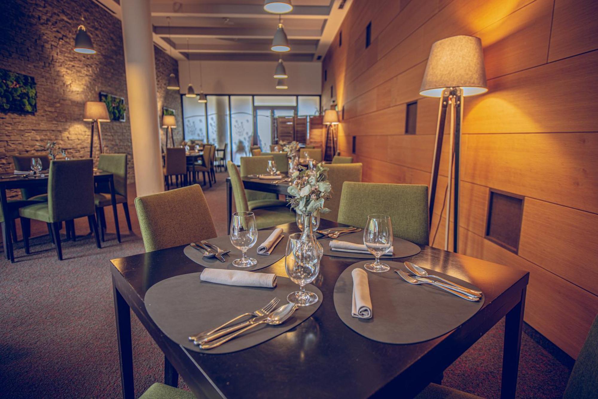 Wellness Hotel Vista Dolní Morava Esterno foto